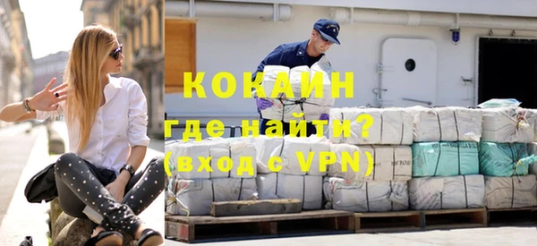 стаф Богданович